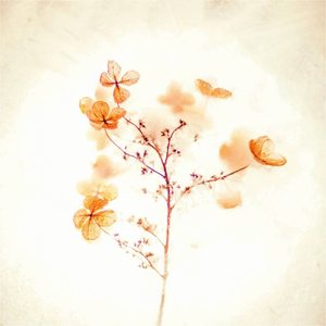 슬픔이 찾아온 날