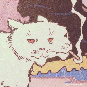 Девочки, мальчики