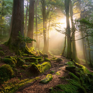 Ritmos Que Fomentan Pensamientos Pacíficos