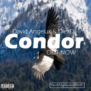 Condor