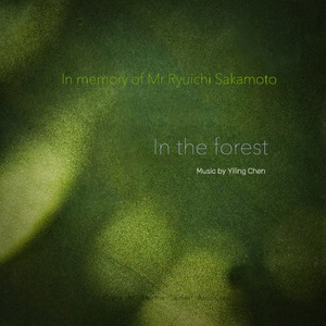 In the forest 在森林中