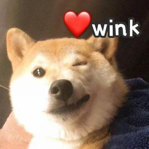 待续