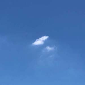 看起来不错其实也还好