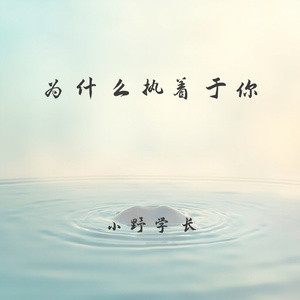 为什么执着于你