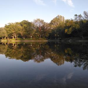 爱祖国的年轻人