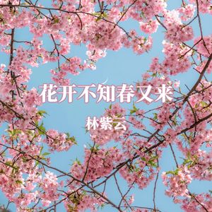 花开不知春又来