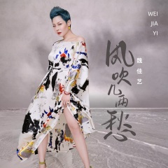 风吹几两愁 (DJ陌梦版)