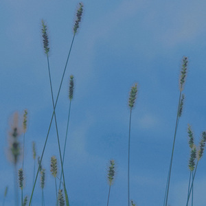 世界上千千万万个我