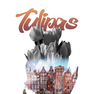 Tulipas