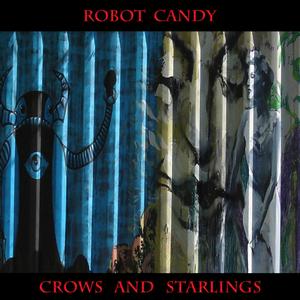 Crows and Starlings (Live) (Live)