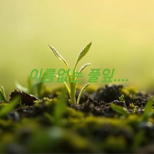 이름없는 풀잎...