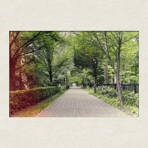 手紙 (2023 Remastered)