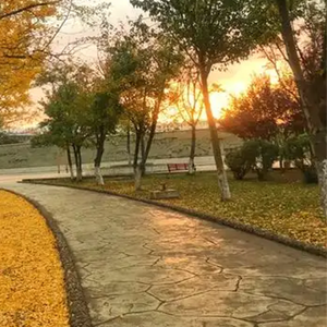 得不到你的心 (烟嗓版)