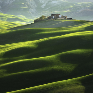 杨柳青 (笛子独奏)