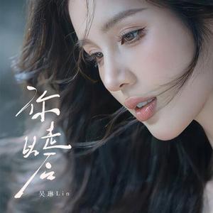 你走以后 (DJ李雪饼版)降调版