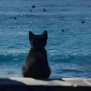 那些喊给天空的（女生版）