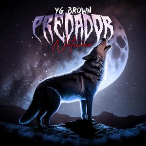 Predador Noturno