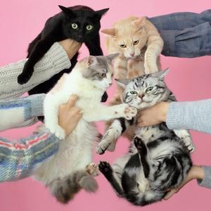 スカルプチャー