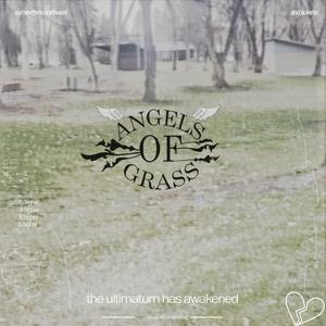 angels of grass