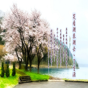 天涯何处 (加长版)