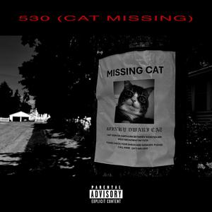 530 (CATS MISSING)