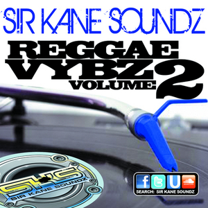 TOO EXPERIENCE - BARRINGTON LEVY