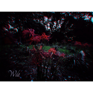 Wilt