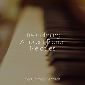 Whispers in an Empty Forest