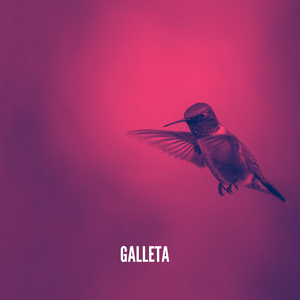 Galleta