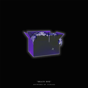 BrainBox (Intro)