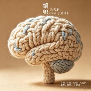 编织 (Demo)