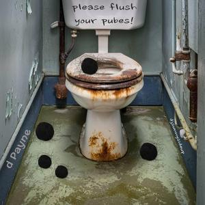 pubic plubic places