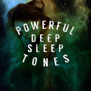 Bird Life Behind the Barn