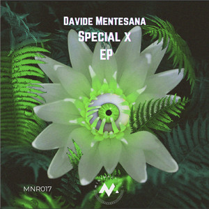 Special X (Original Mix)