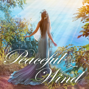 Peaceful Wind ～芯から癒される ヨガ・スパ・アロマ・瞑想向けのリラクゼーション音楽～