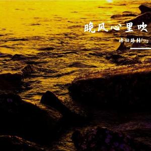 阿梨粤-晚风心里吹（峰回路转Feng remix）