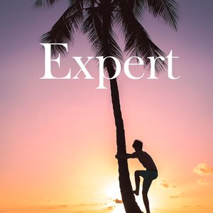 Expert