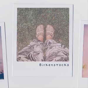 Birkenstocks