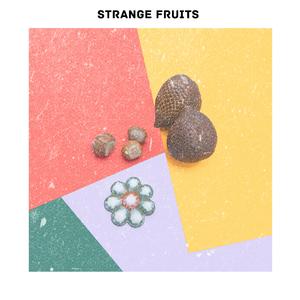 Comfortable (Nipri Remix)