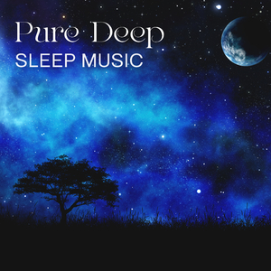 Beautiful Visualization