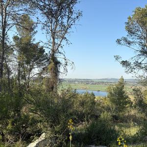 ראובן חזן ברחובות (feat. יונתן יצחק חזן)