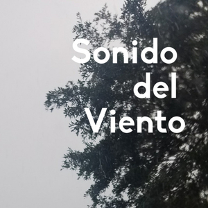 Sonidos Del Viento