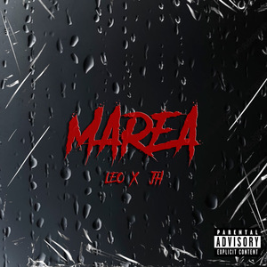 Marea
