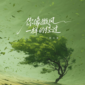 你像微风一样的经过