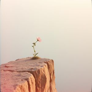 小花（Reimagined）