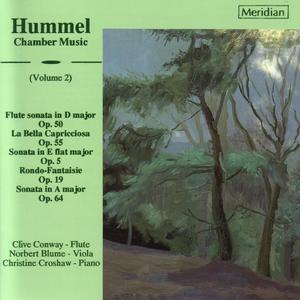 Flute Sonata in D Major, Op. 50: I. Allegro con Brio