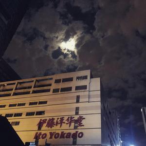 迷途羔羊