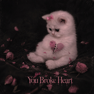 You Broke My Heart