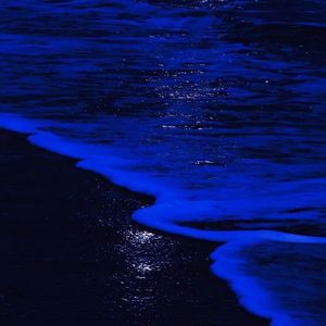 海域（Prod EVOMUSIC）