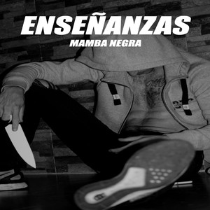 Enseñanzas